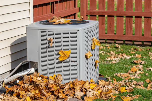 Best HVAC repair near me  in Caledonia, MN