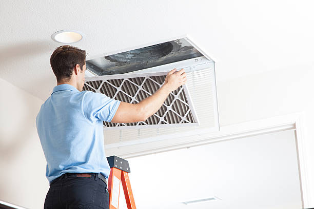Best HVAC air duct cleaning  in Caledonia, MN